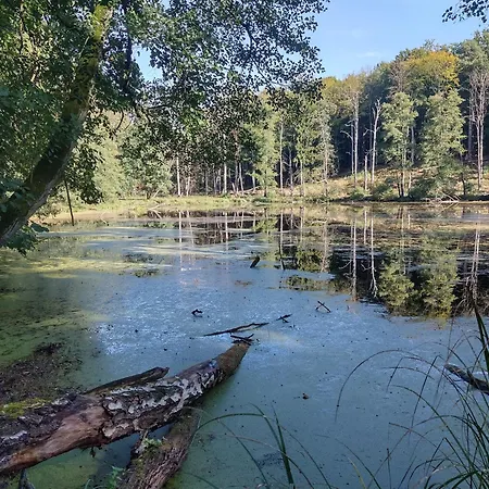 Σπίτι διακοπών Naturpur Chorin
