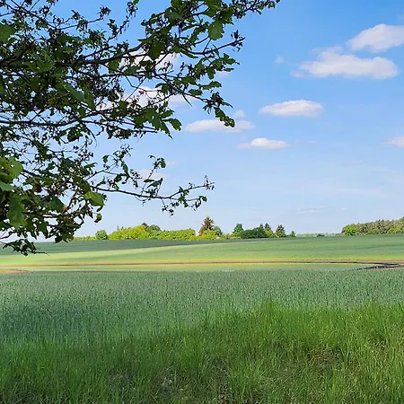 Naturpur Chorin