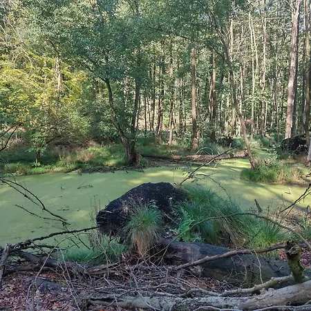 Naturpur Σπίτι διακοπών Chorin