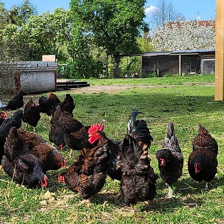 Naturpur Hébergement de vacances *