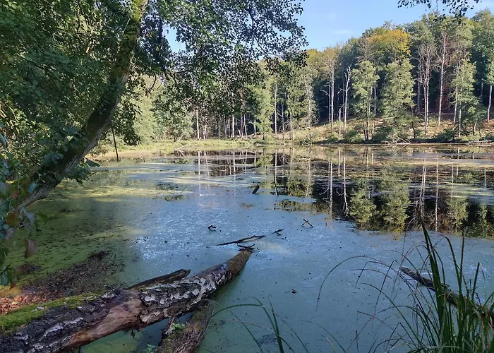 Semesterbostad Naturpur Chorin
