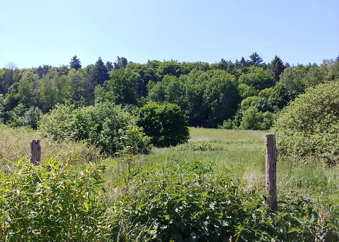 Semesterbostad Naturpur Chorin