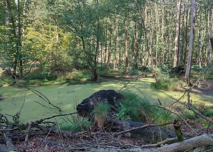 Naturpur Semesterbostad Chorin