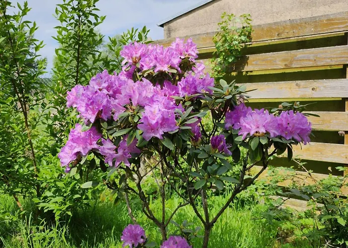 Semesterbostad Naturpur *